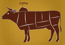 Seasoned Hump, Cupim Temperado 1,200kg - 1,300kg
